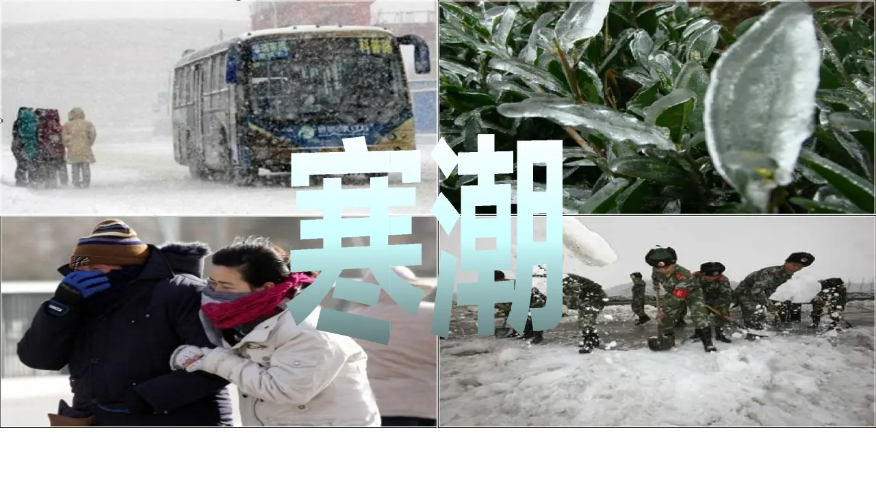 05《我国自然灾害知多少》-安佳琪（课件5）_05.webp