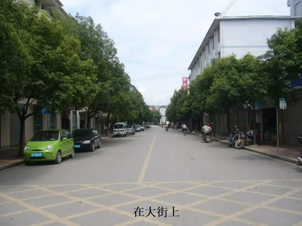 04《环境问题敲响了警钟》-李晶（课件5）_04.webp