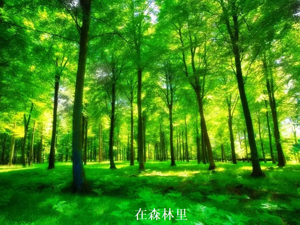 04《环境问题敲响了警钟》-李晶（课件5）_05.webp