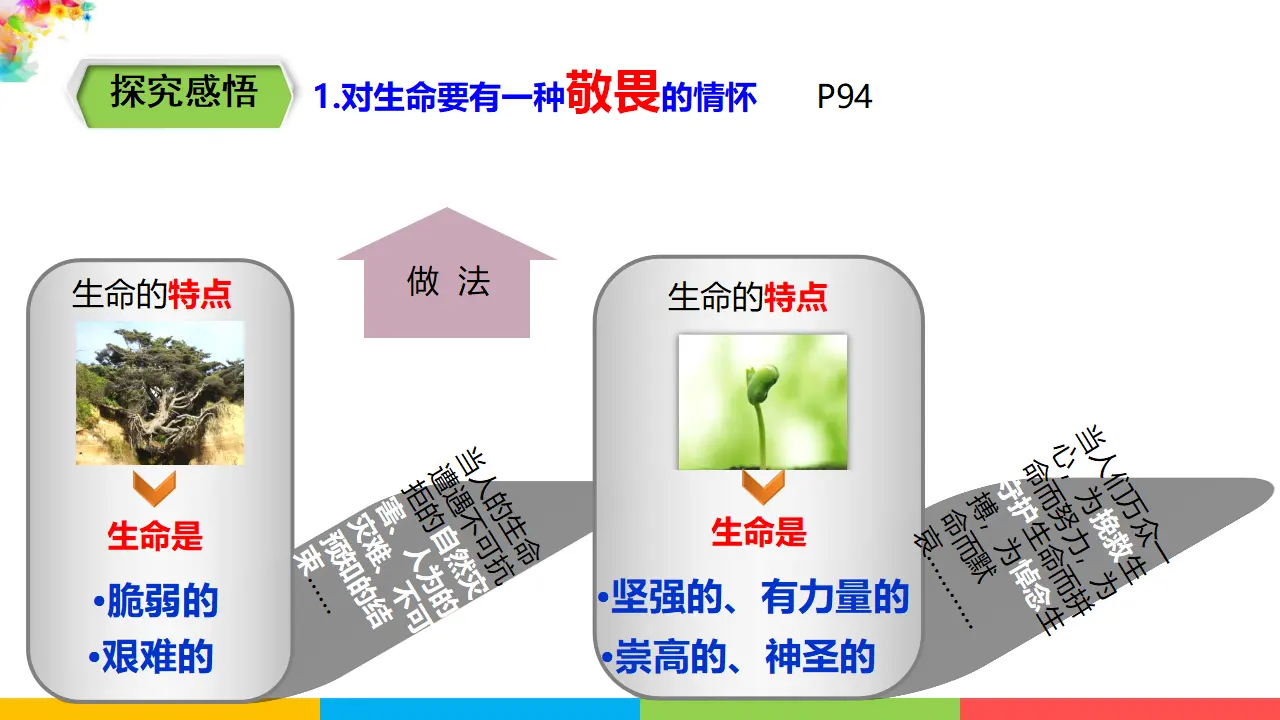 4.8.2《敬畏生命》（课件1）_05.webp