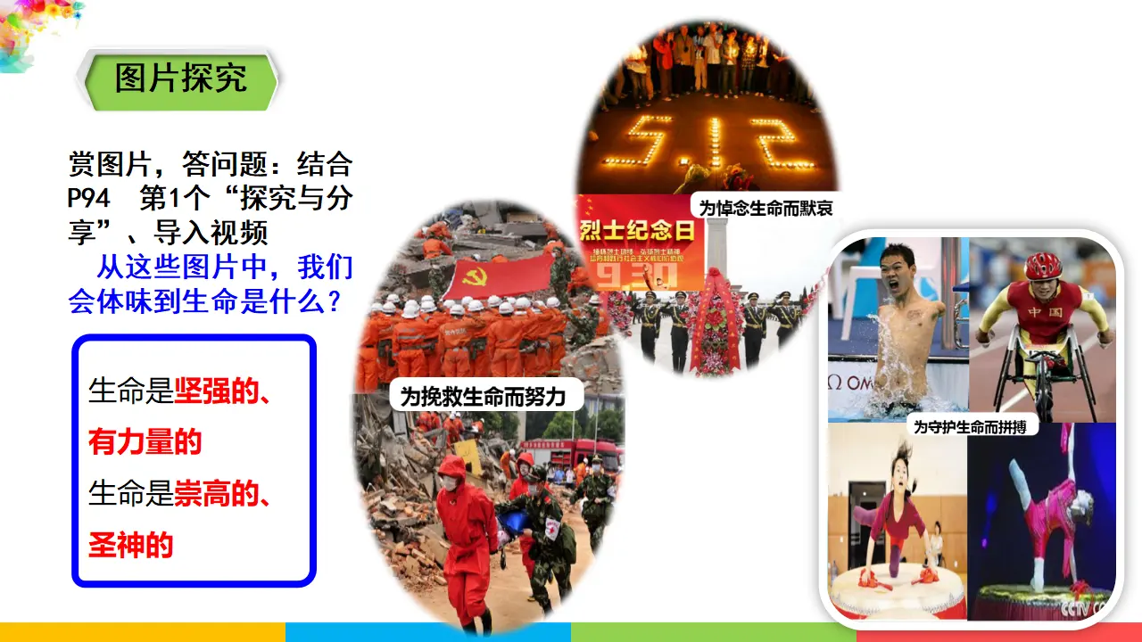 4.8.2《敬畏生命》（课件1）_04.webp