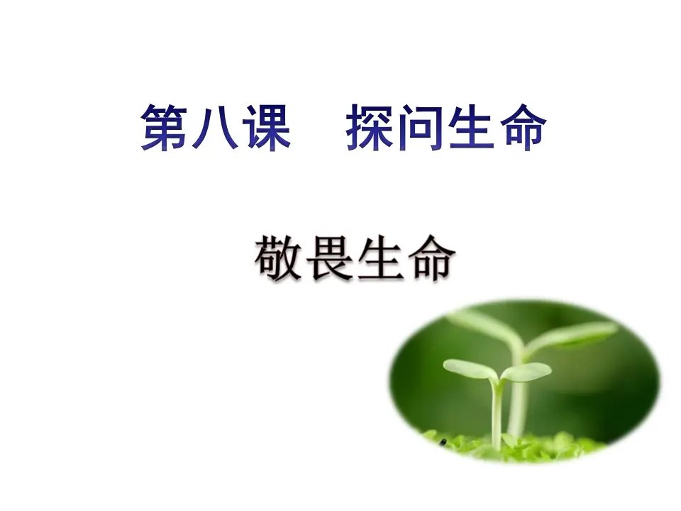 第八课  敬畏生命 （课件2）_01.webp
