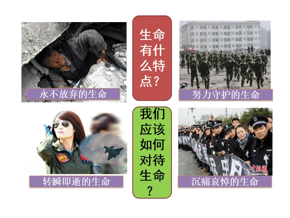 第八课  敬畏生命 （课件2）_02.webp