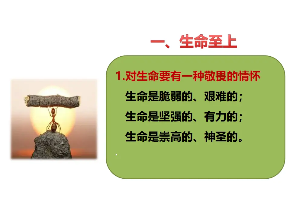 第八课  敬畏生命 （课件2）_04.webp
