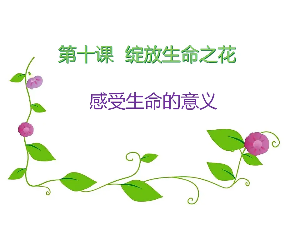 《感受生命的意义》（课件2）_01.webp