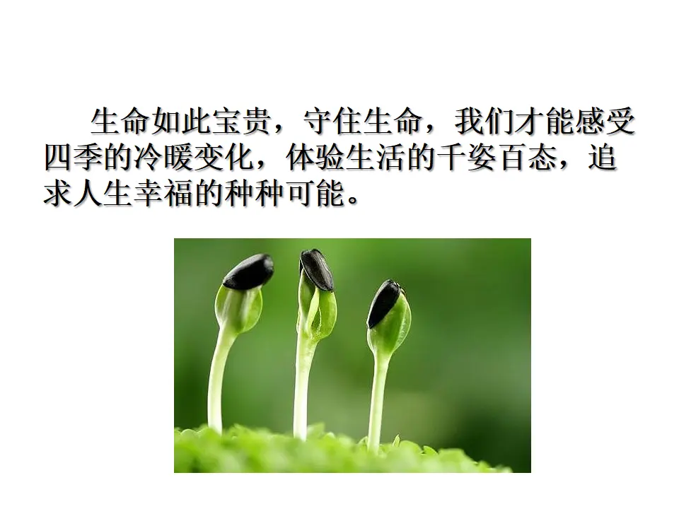《守护生命》 （课件2）_02.webp