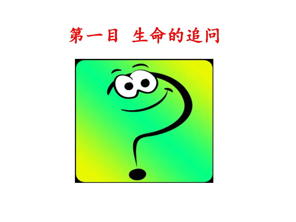 感受生命的意义（课件3）_04.webp