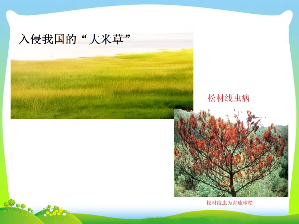 第2课时 维护国家安全（课件3）_04.webp