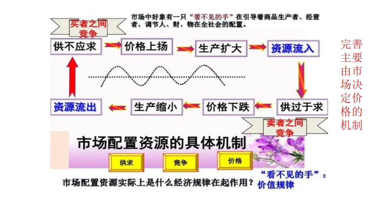 《综合探究 完善社会主义市场经济体制》名师优质课课件_04.webp