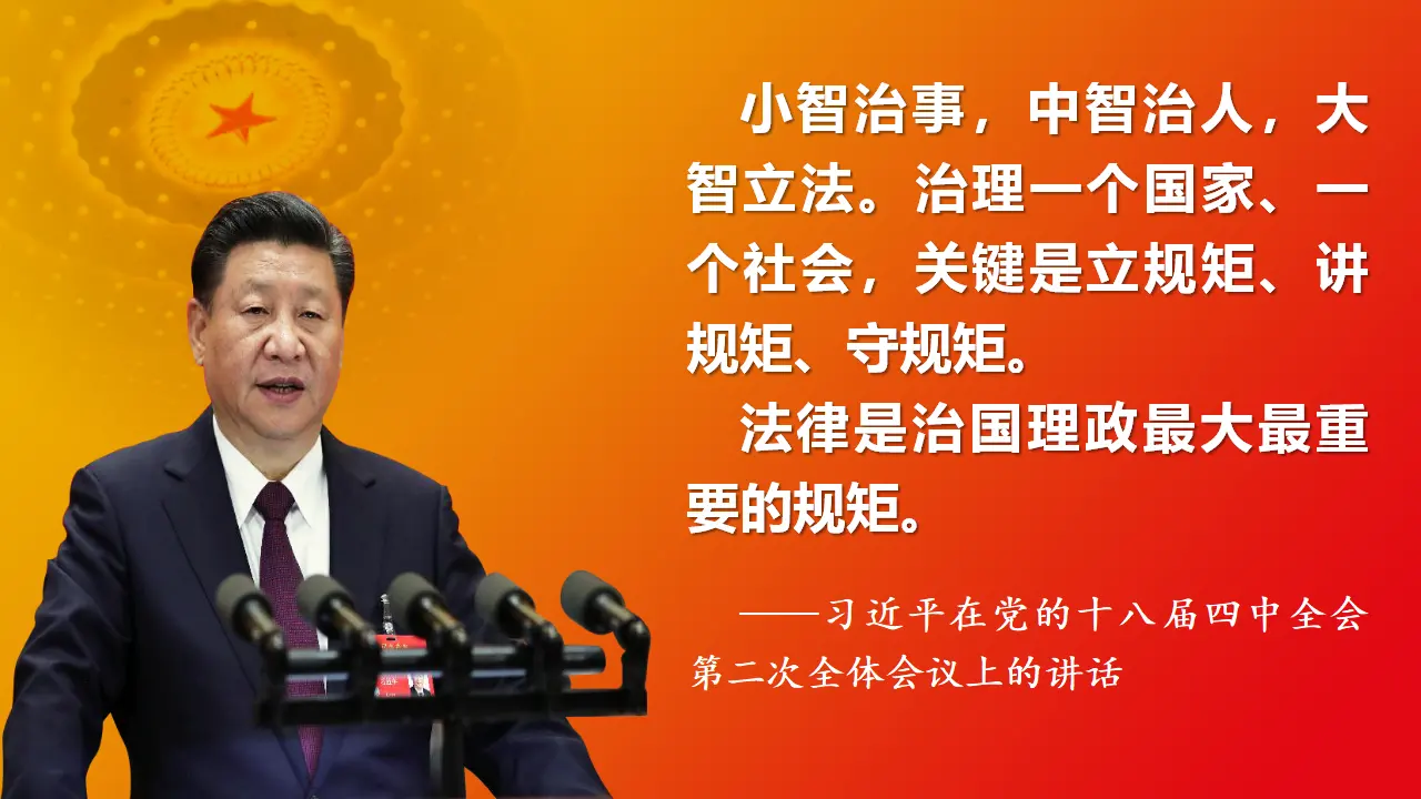 8.1法治国家（课件4）_01.webp