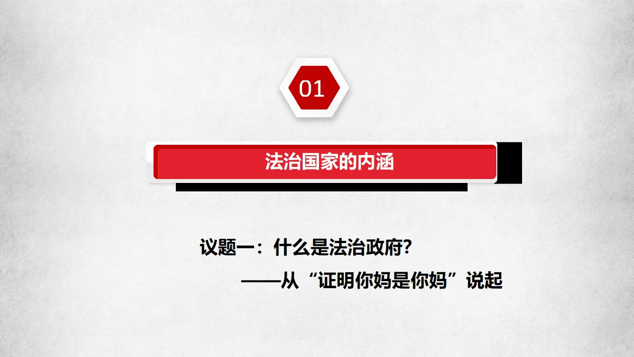 8.2法治政府（课件6）_04.webp