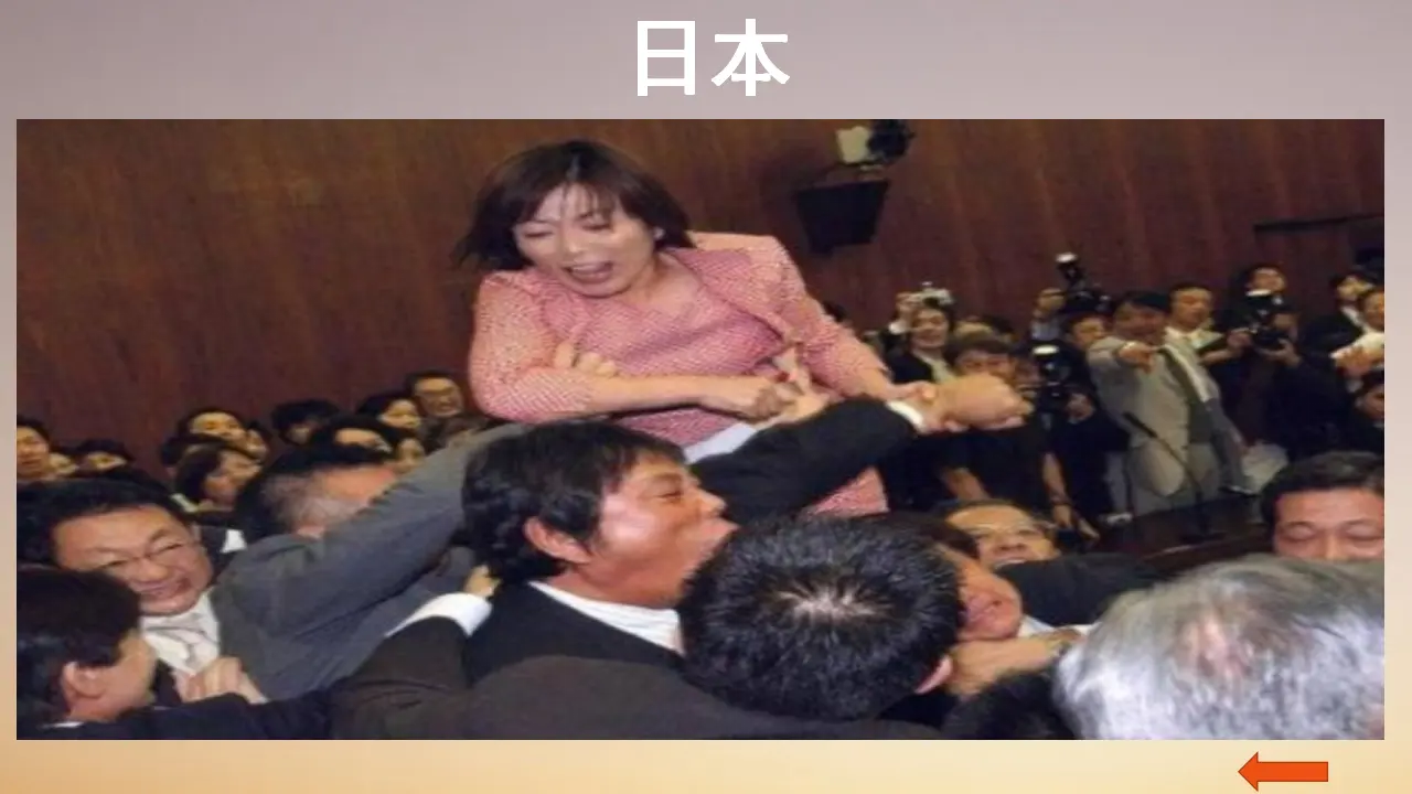5.2  人民代表大会制度：我国的根本政治制度（课件6）_05.webp