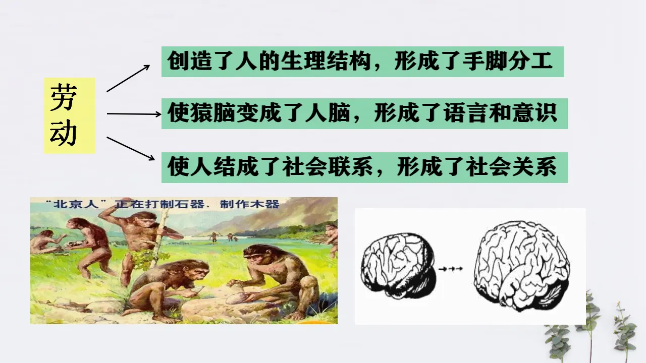 5.1 社会历史的本质共30张（课件2）_05.webp