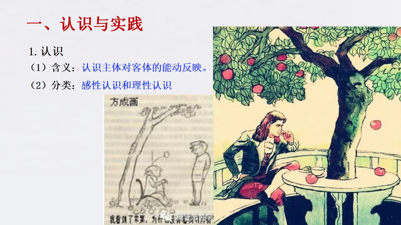 4.1 人的认识从何而来共34张（课件2）_04.webp