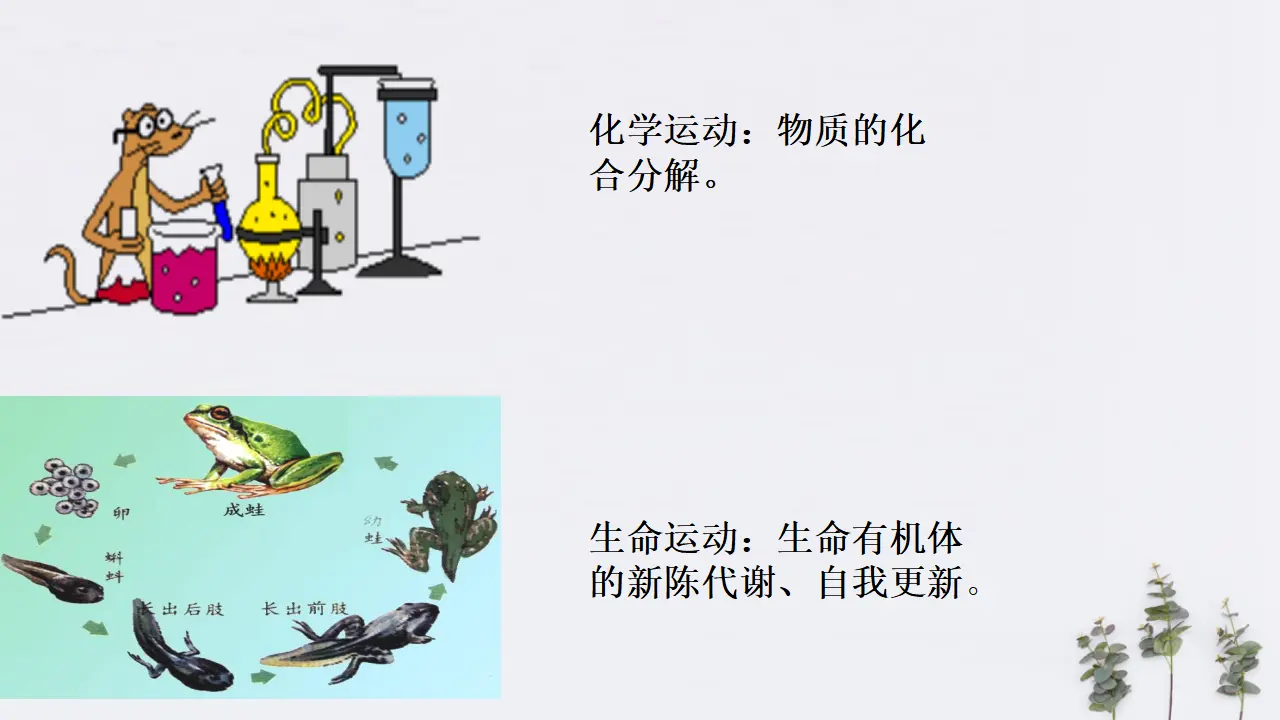 2.2 运动的规律性共28张（课件2）_03.webp