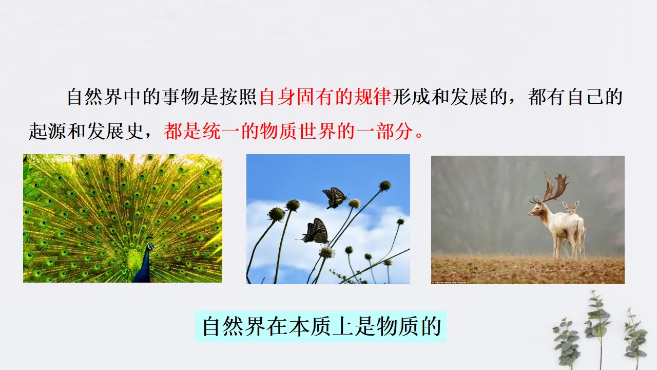 2.1 世界的物质性 共30张（课件2）_04.webp