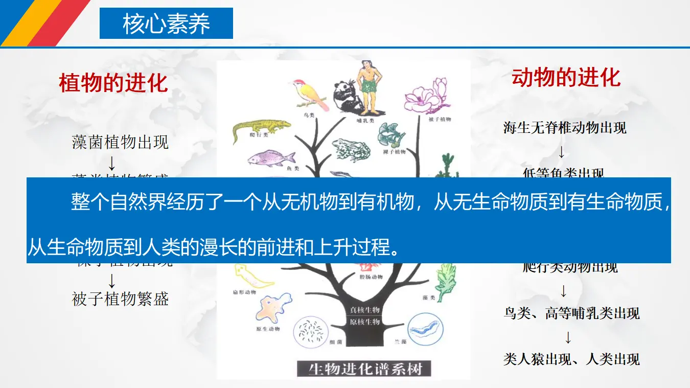 3.2 世界是永恒发展的（课件3）_05.webp