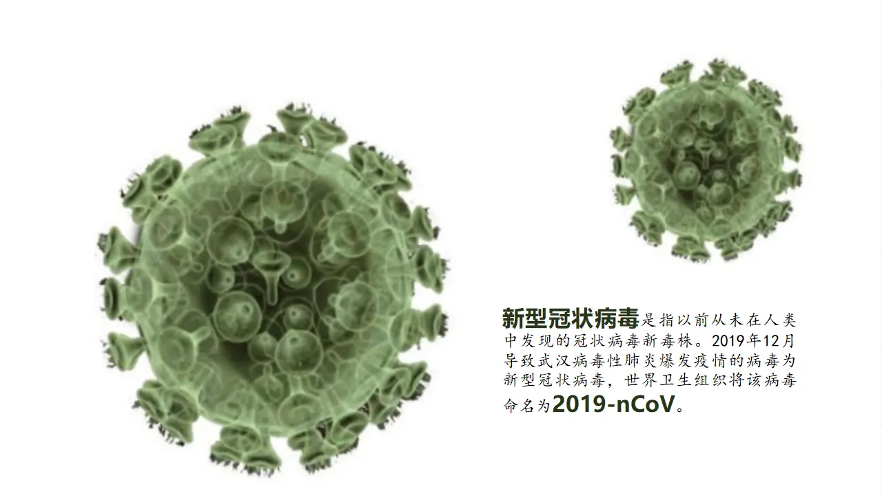 4.1人的认识从何而来（新冠病毒不是“中国病毒”）议题式教学课件_04.webp