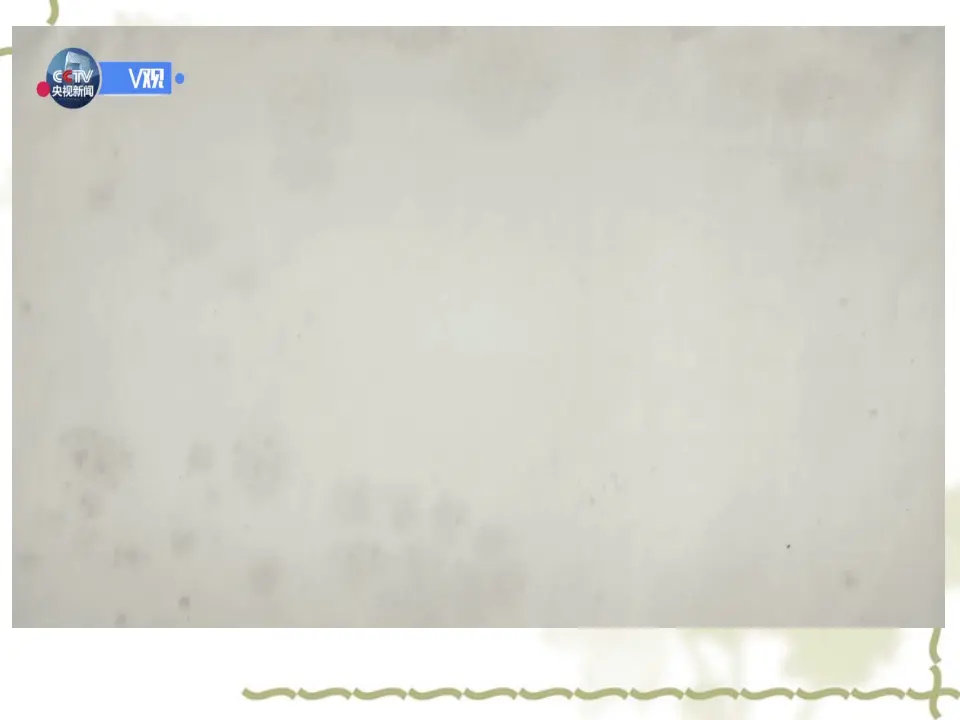 5.2中国的外交（课件4）_04.webp