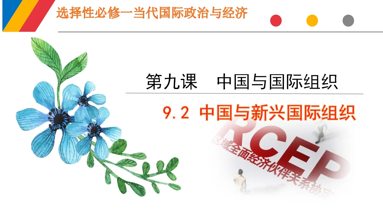 9.2中国与新兴国际组织（课件6）_01.webp