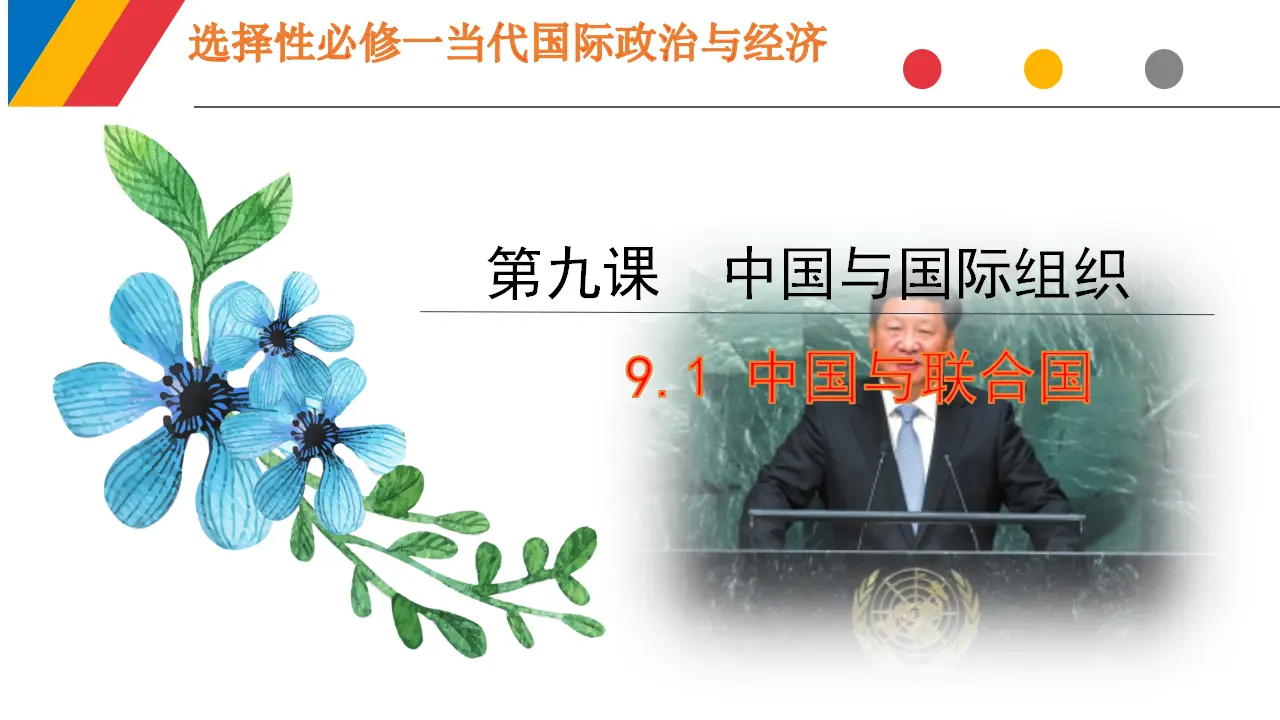 9.1中国与联合国（课件6）_01.webp