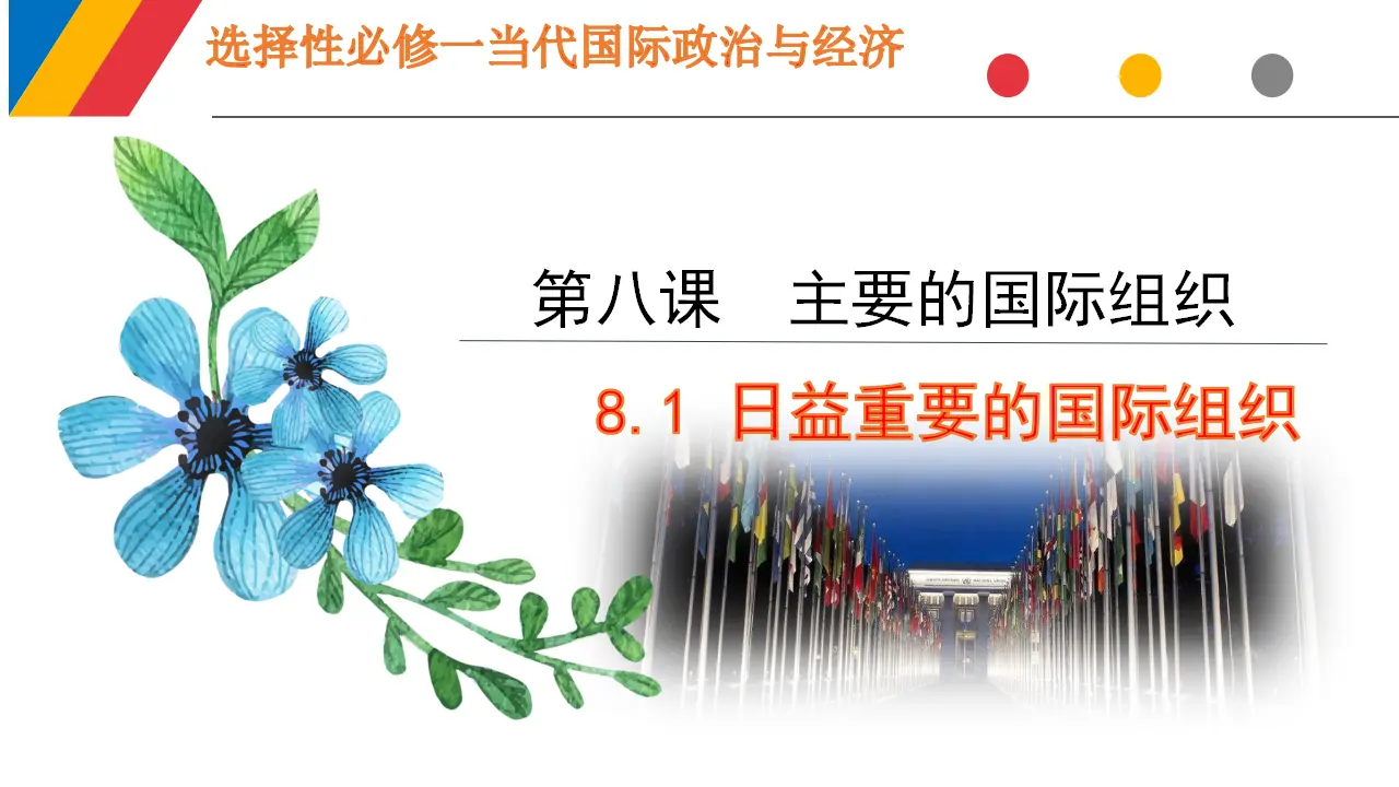 8.1 日益重要的国际组织（课件6）_01.webp