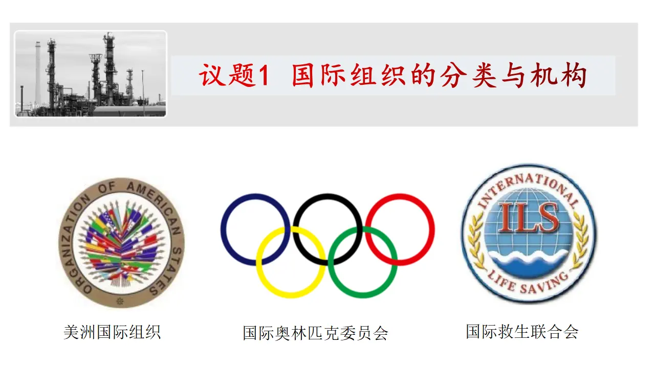 8.1 日益重要的国际组织（课件6）_02.webp