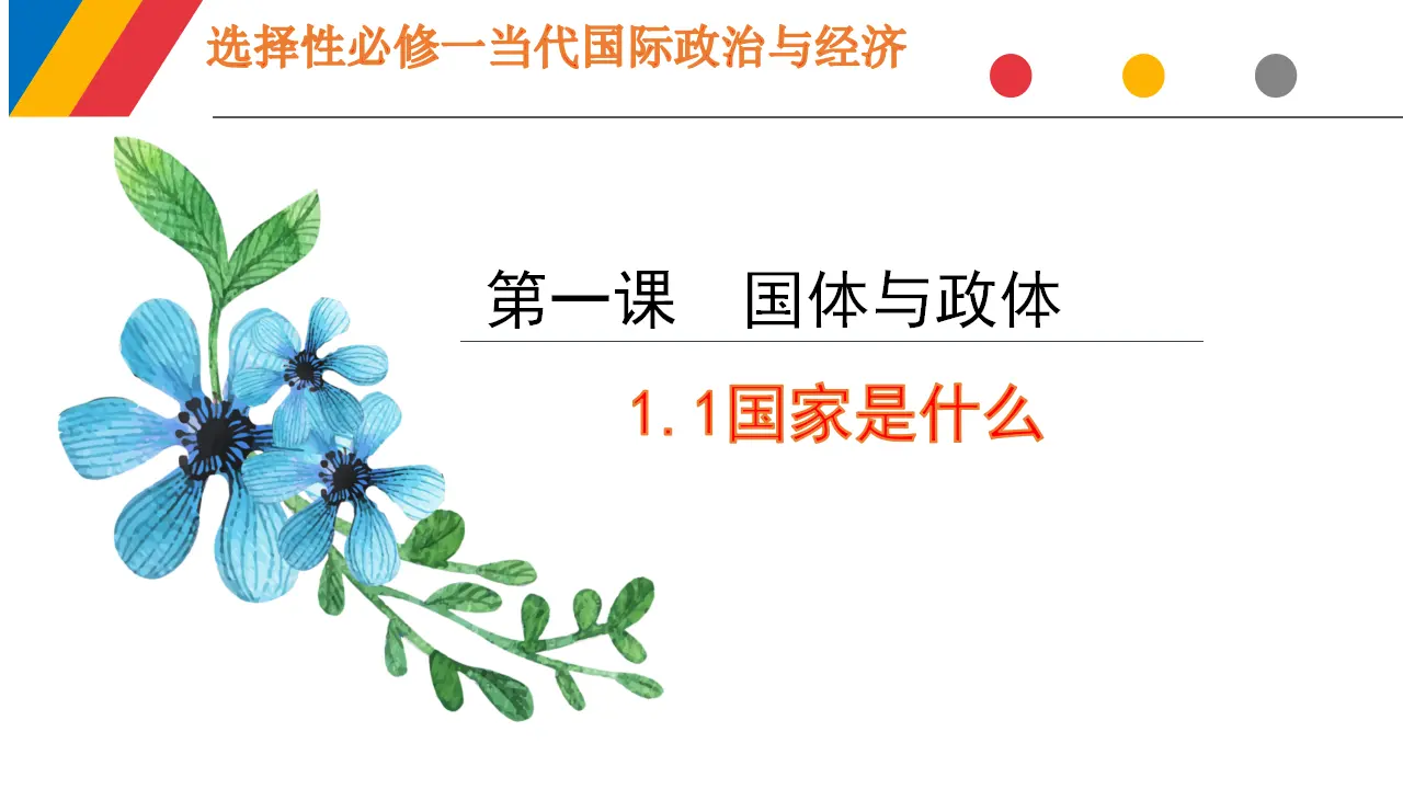 1.1 国家是什么（课件6）_01.webp
