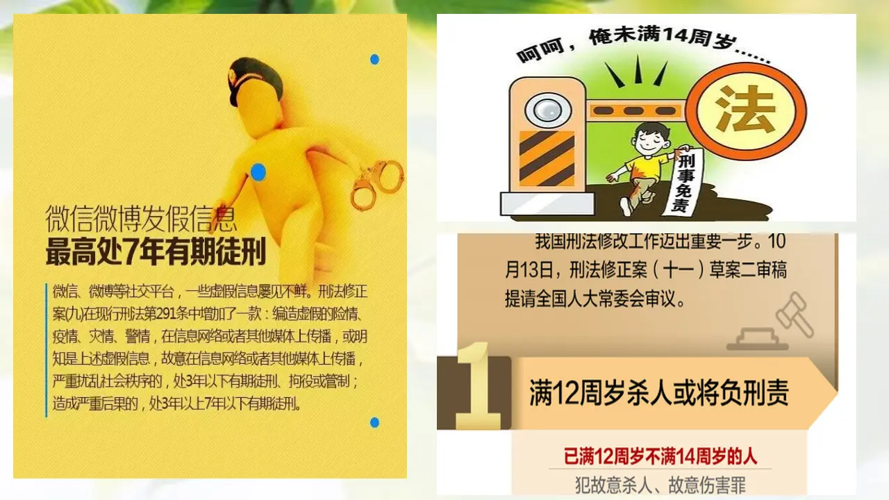 9.2解析三大诉讼（课件4）_05.webp