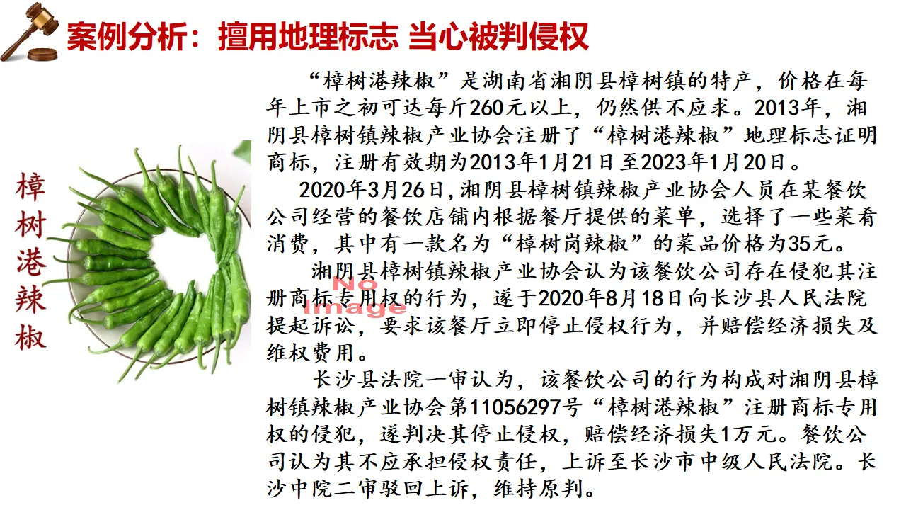 9.2解析三大诉讼（课件5）_04.webp