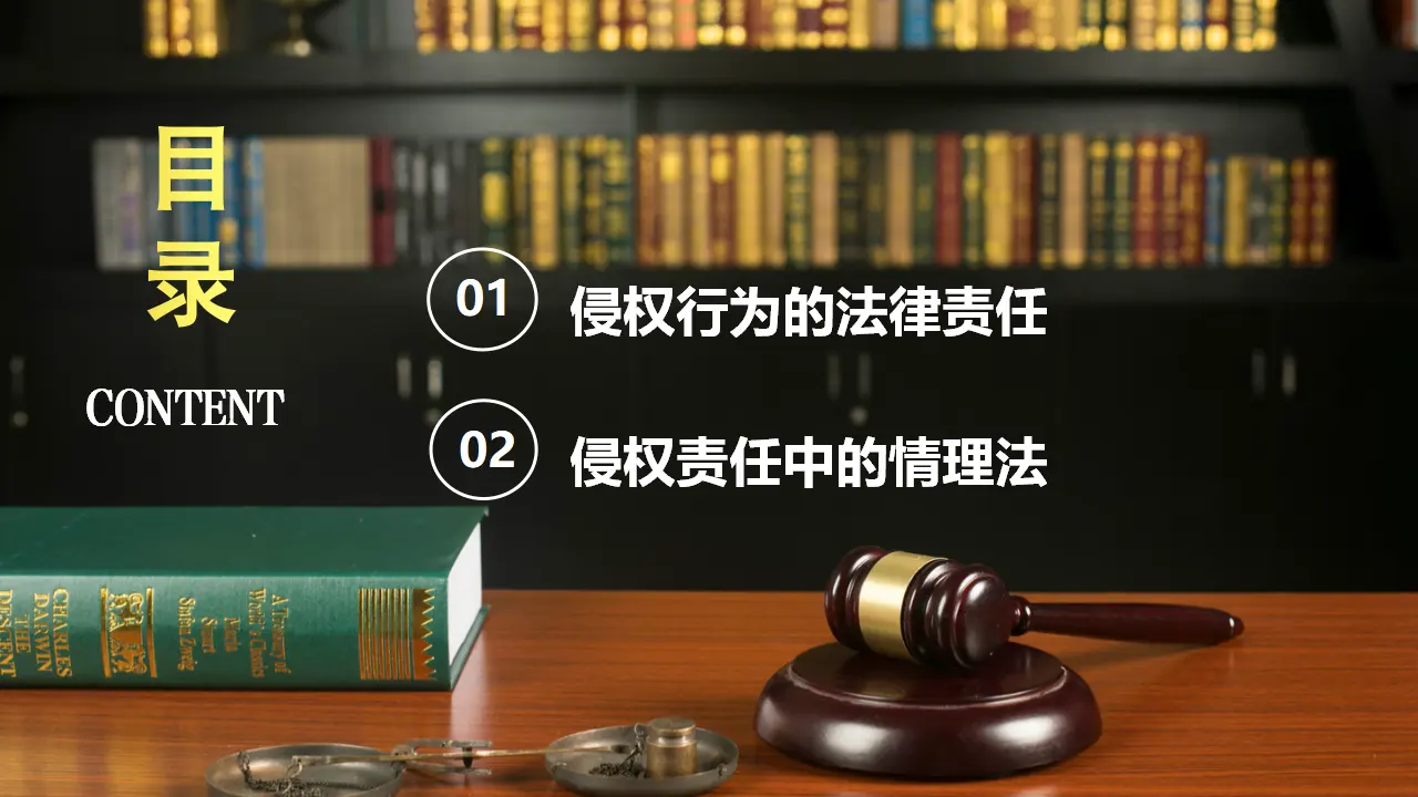 4.1权利保障 于法有据（课件5）_04.webp