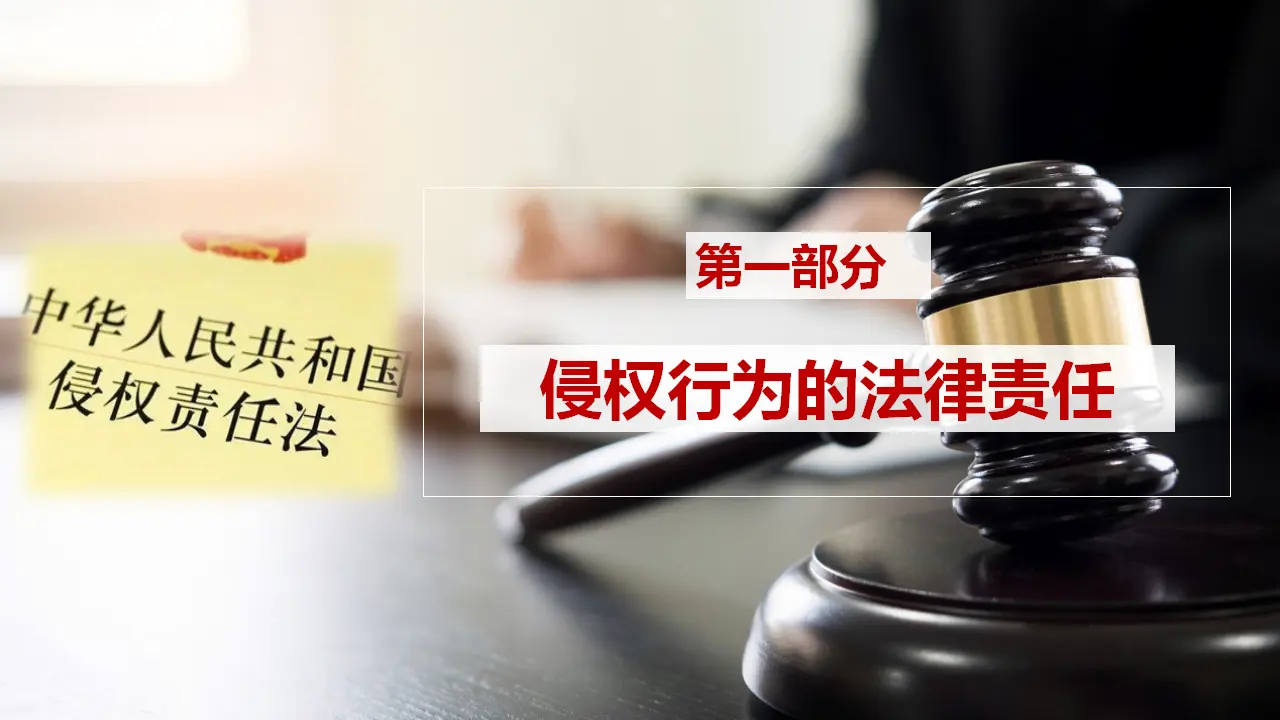 4.1权利保障 于法有据（课件5）_05.webp