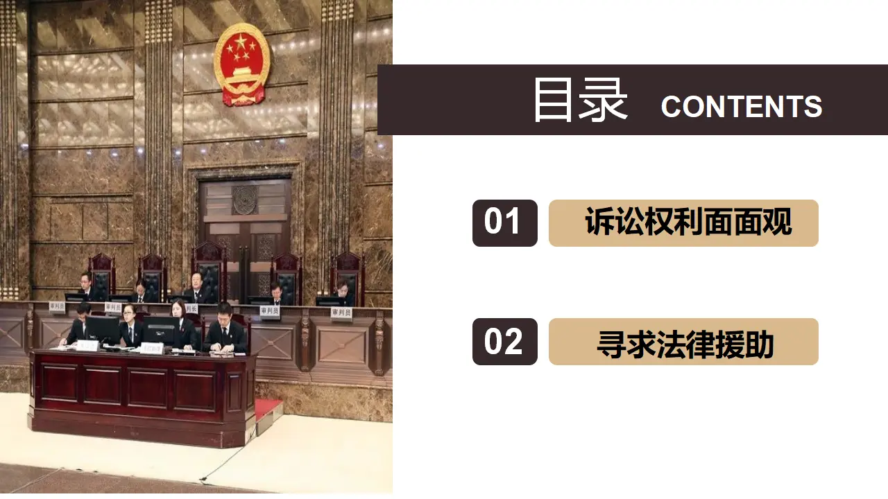10.1正确行使诉讼权利（课件5）_03.webp