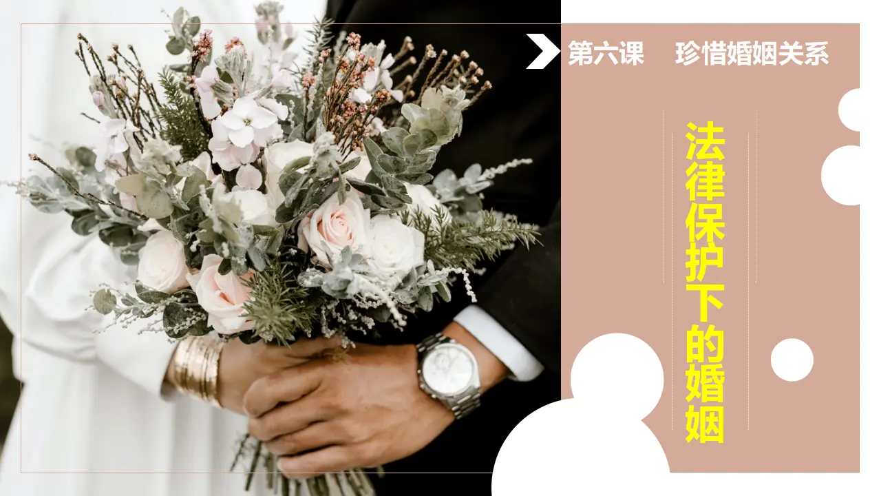 6.1 法律保护下的婚姻（课件7）_01.webp