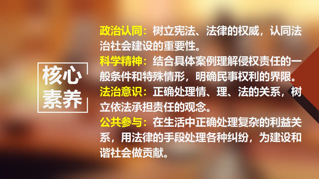 4.1 权利保障 于法有据（课件7）_04.webp