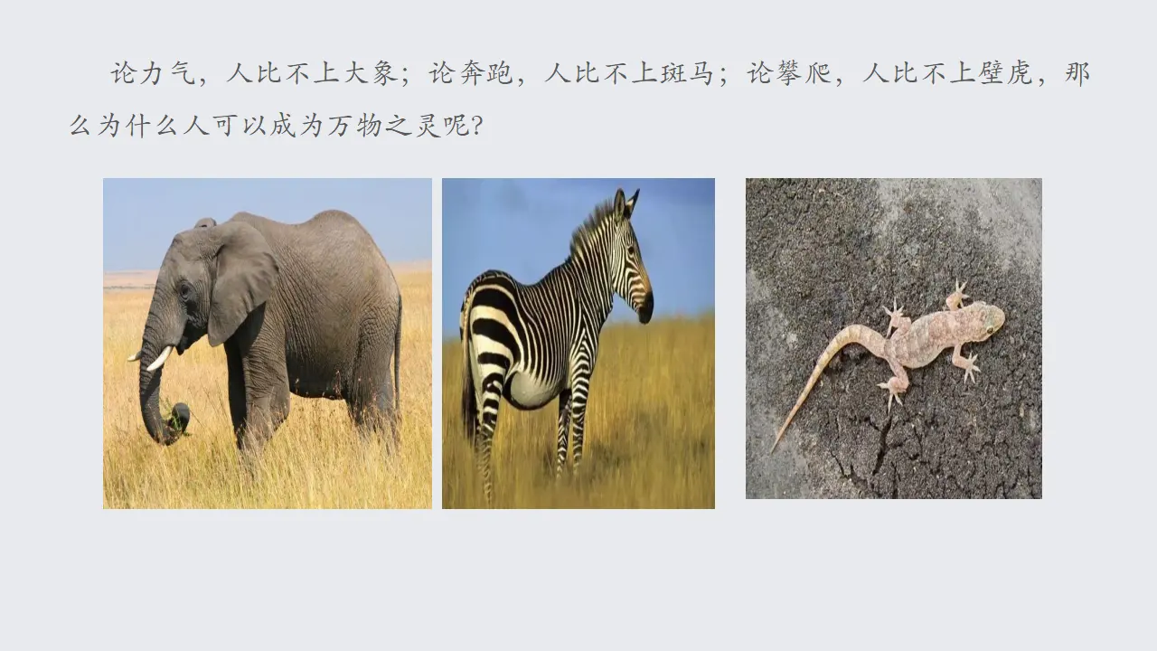 1.1思维的含义与特征（课件2）_03.webp