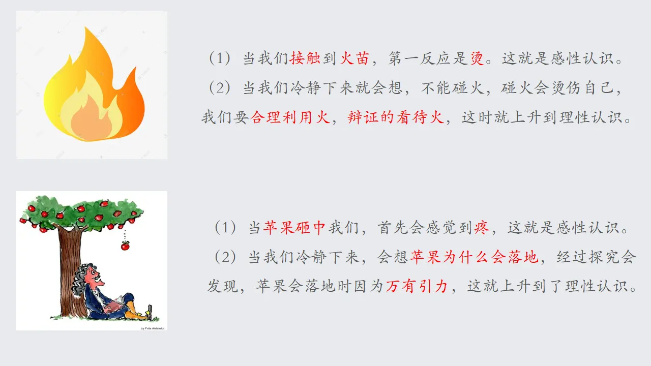 1.1思维的含义与特征（课件2）_05.webp