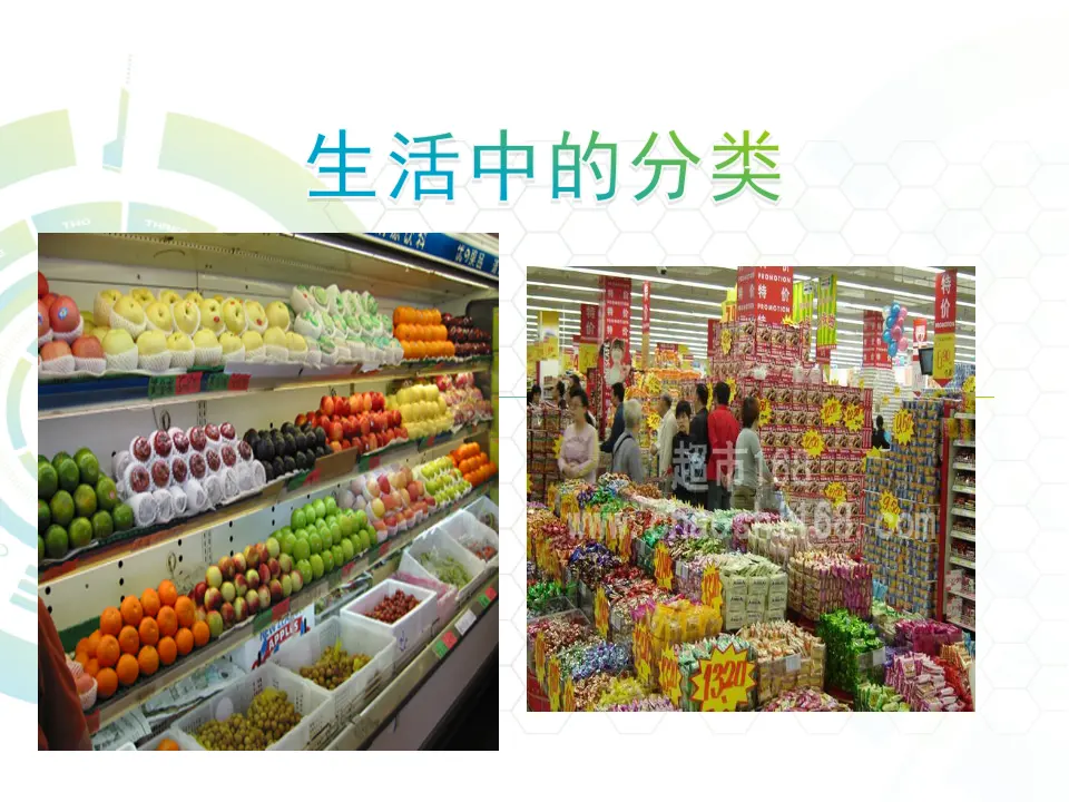 《分类与整理》（课件5）_03.webp