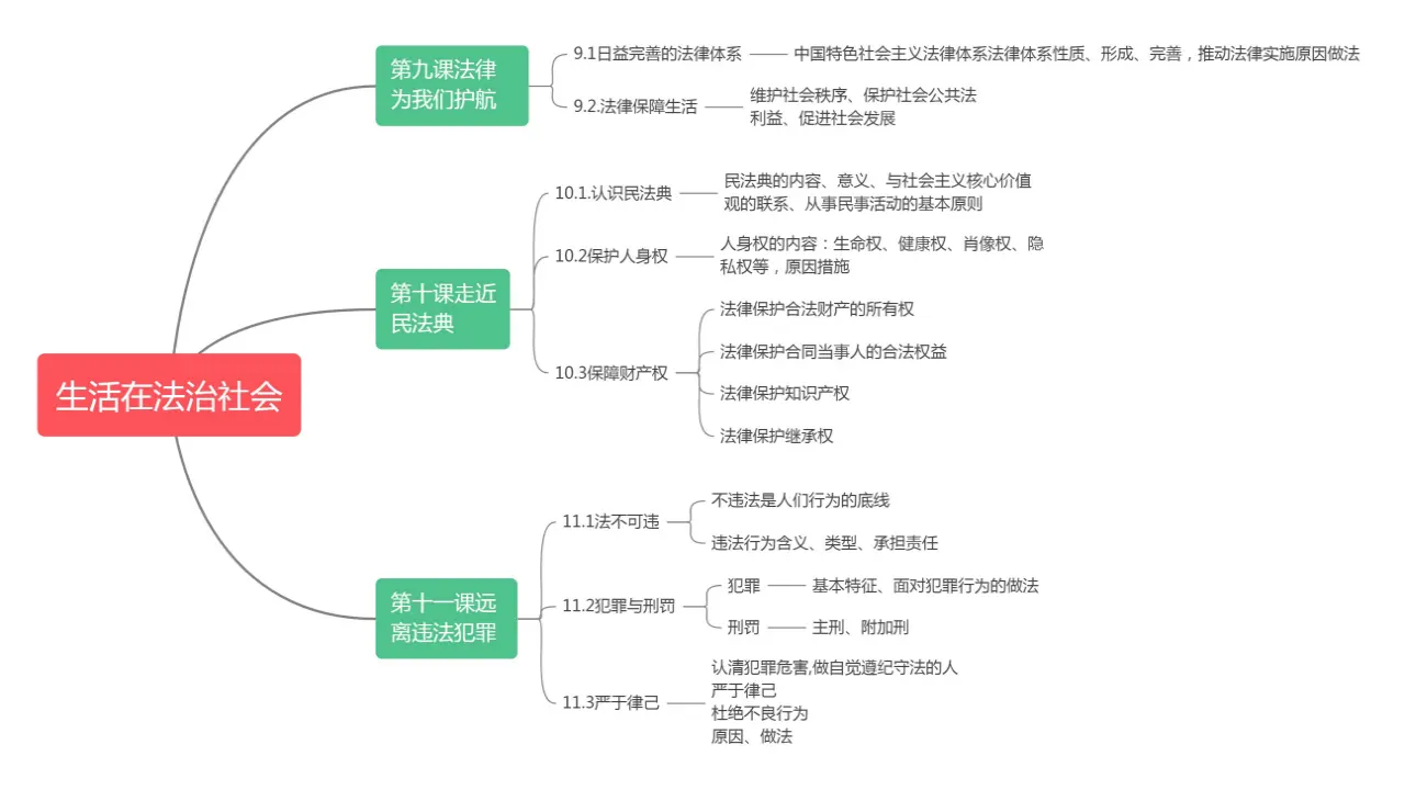 第四单元生活在法治社会（复习课件）-（统编版2024）_05.webp