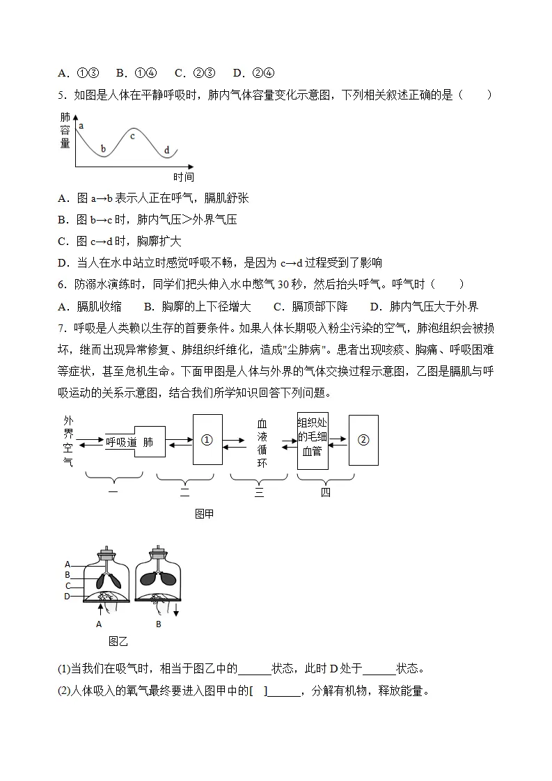 4.3.2 发生在肺内的气体交换（导学案）（原卷版）_04.webp
