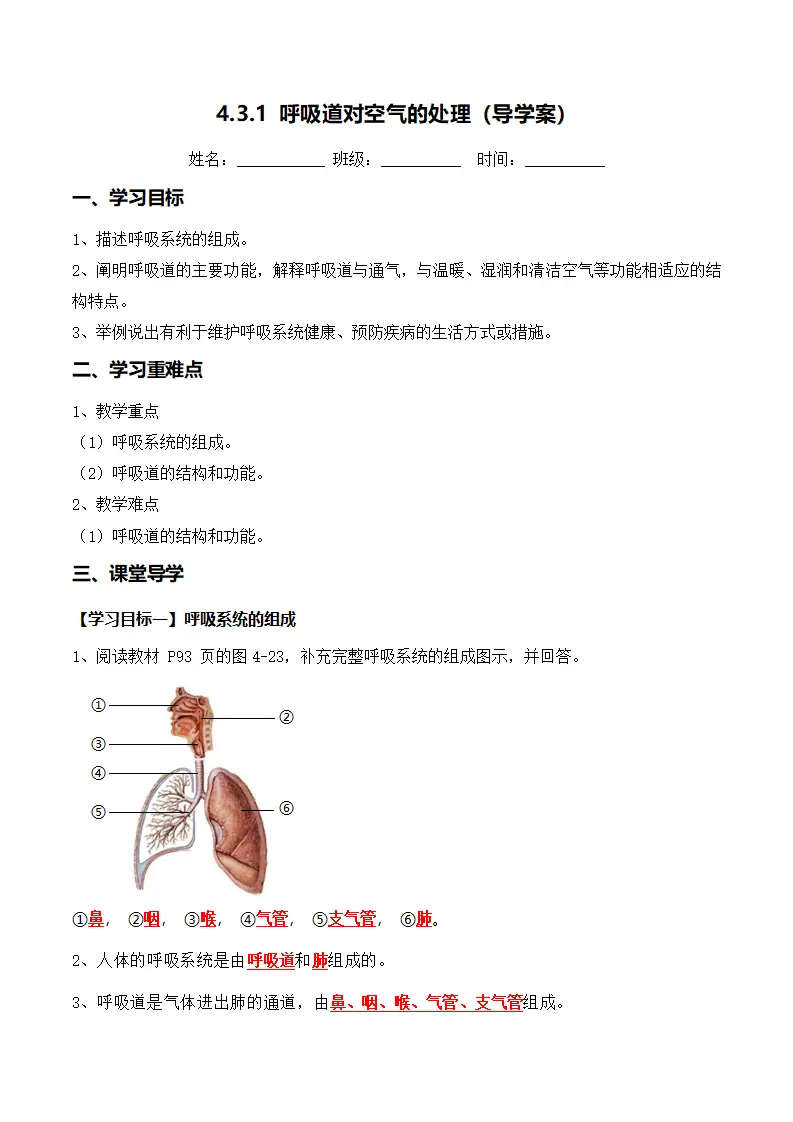 4.3.1 呼吸道对空气的处理（导学案）（解析版）_01.webp