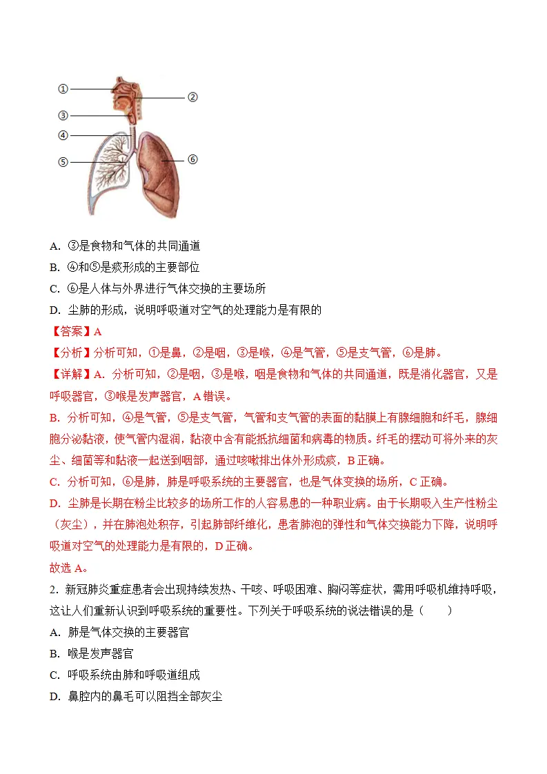 4.3.1 呼吸道对空气的处理（导学案）（解析版）_03.webp