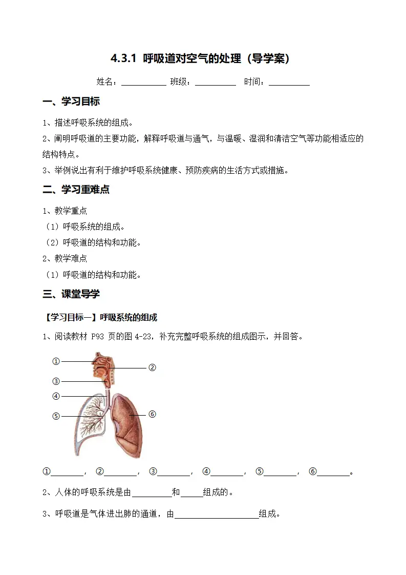 4.3.1 呼吸道对空气的处理（导学案）（原卷版）_01.webp