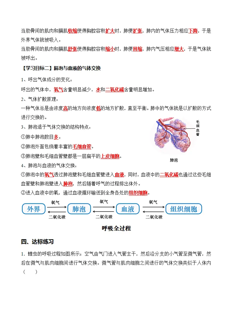 4.3.2 发生在肺内的气体交换（导学案）（解析版）_02.webp