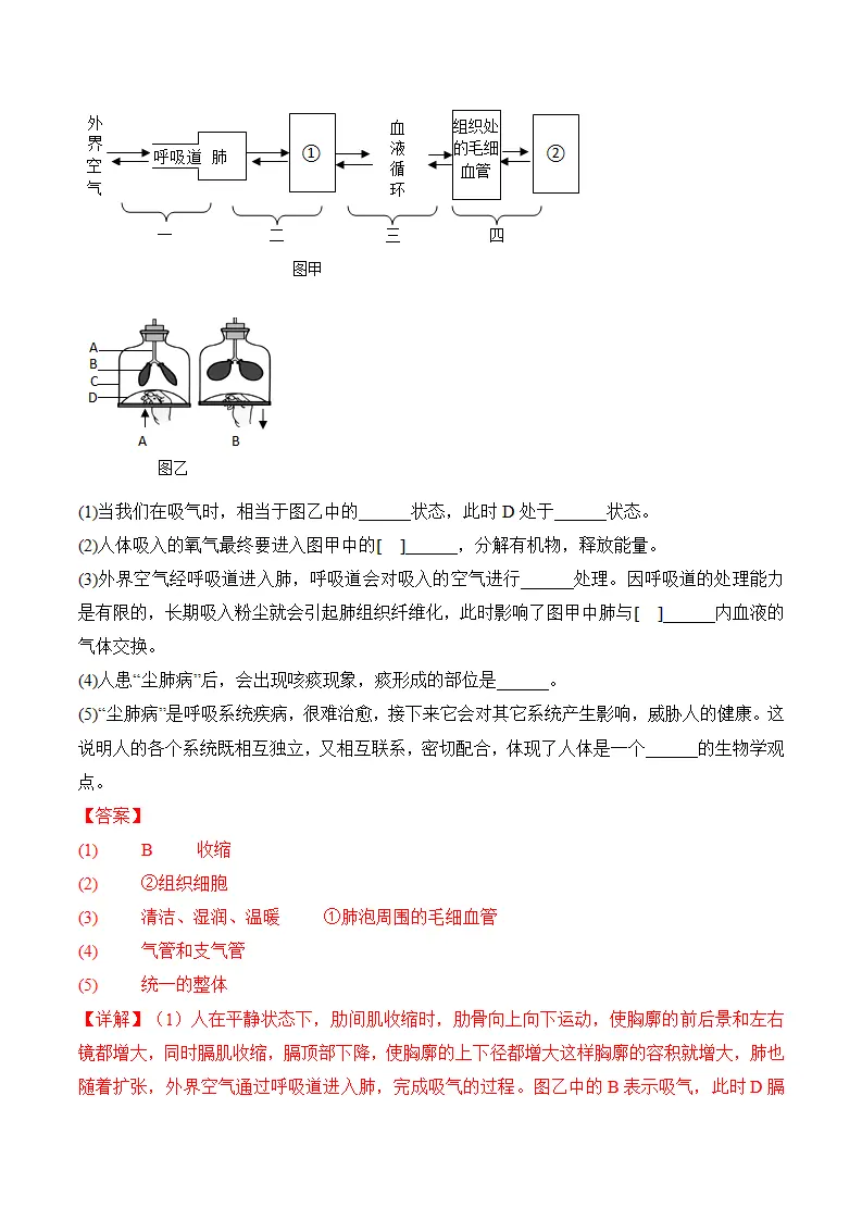 4.3.2 发生在肺内的气体交换（导学案）（解析版）_06.webp
