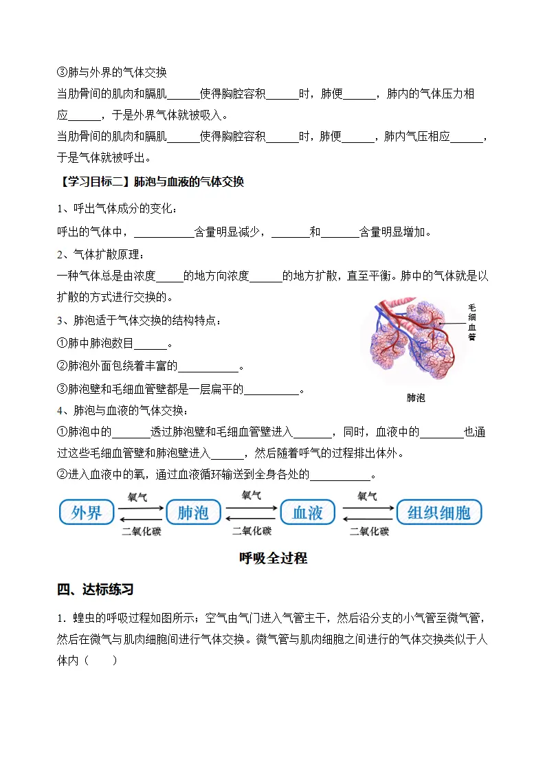 4.3.2 发生在肺内的气体交换（导学案）（原卷版）_02.webp