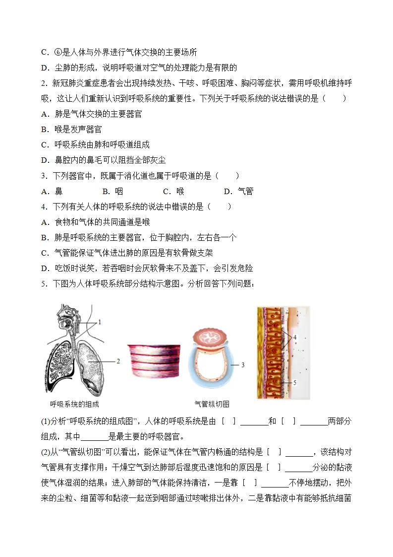 4.3.1 呼吸道对空气的处理（导学案）（原卷版）_03.webp