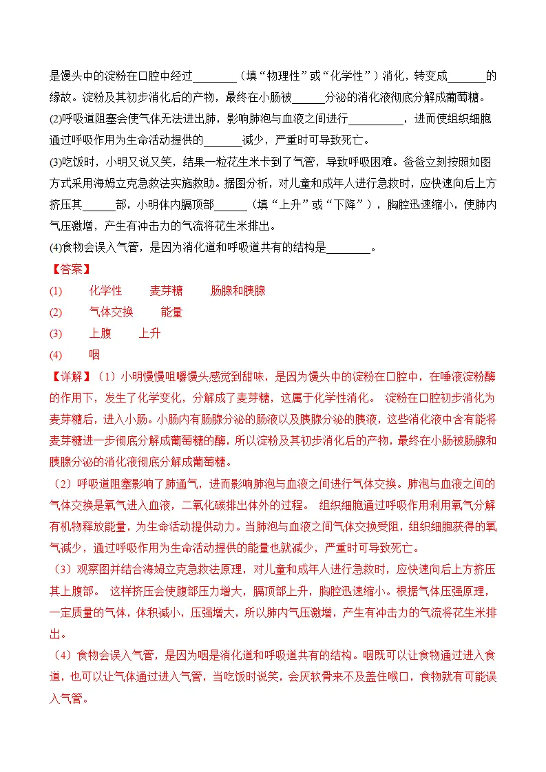 4.3.2 发生在肺内的气体交换（分层作业）（解析版）_08.webp