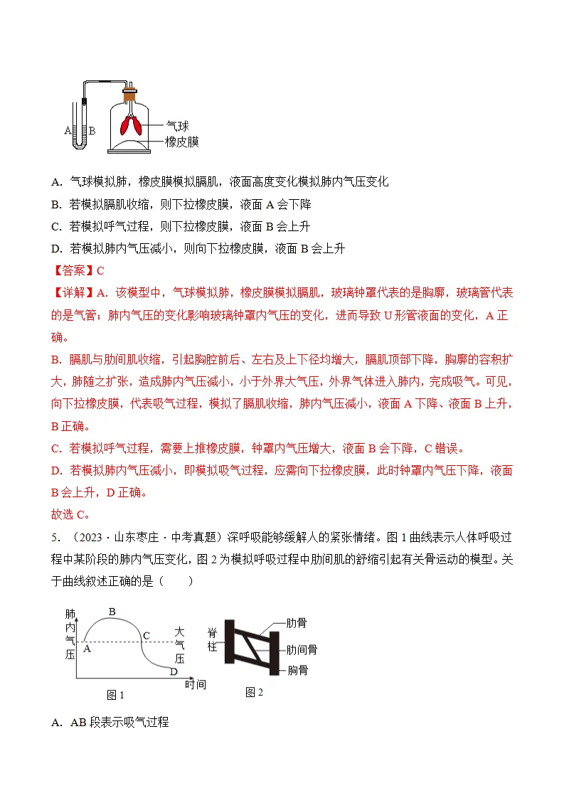 4.3.2 发生在肺内的气体交换（分层作业）（解析版）_18.webp