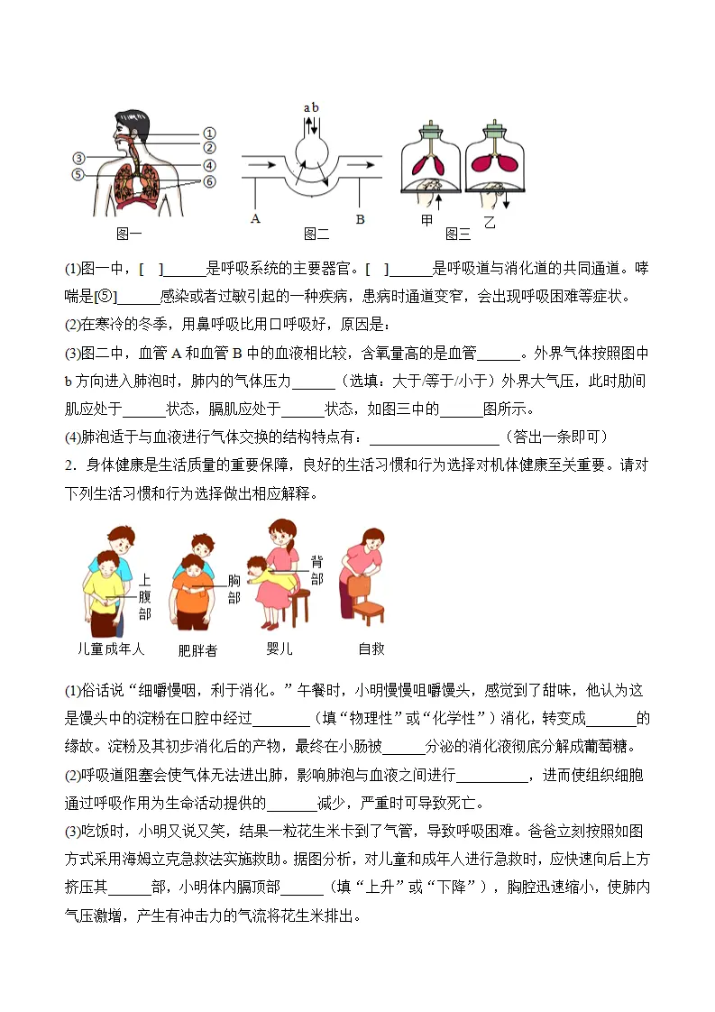 4.3.2 发生在肺内的气体交换（分层作业）（原卷版）_04.webp